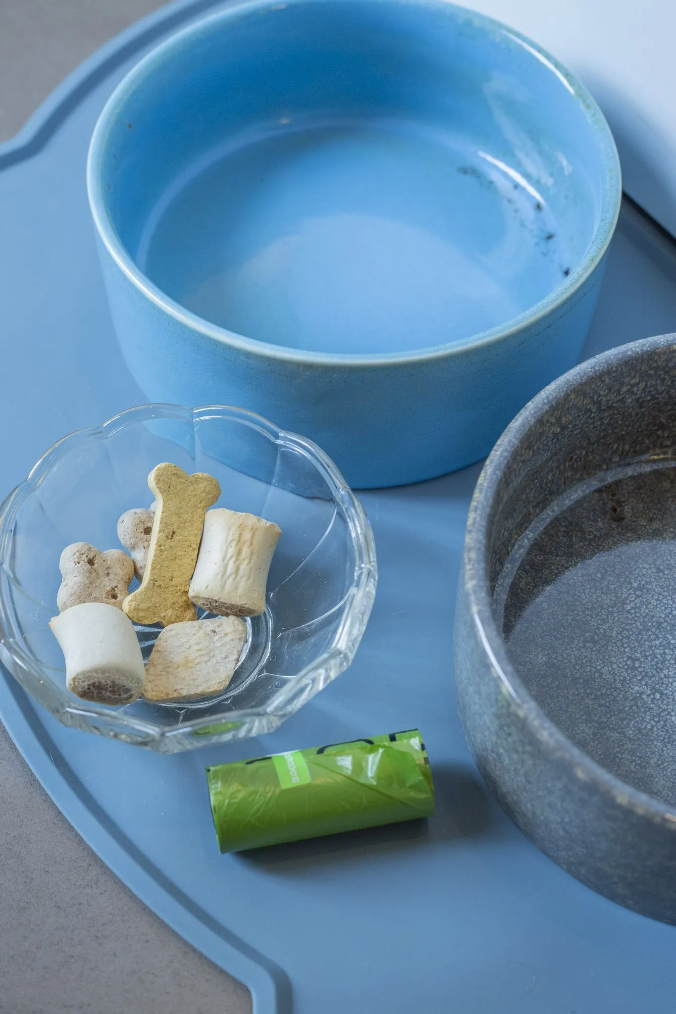 Gamelles et friandises préparées pour accueillir les chiens